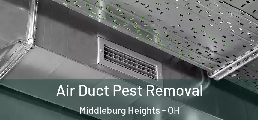 Air Duct Pest Removal Middleburg Heights - OH