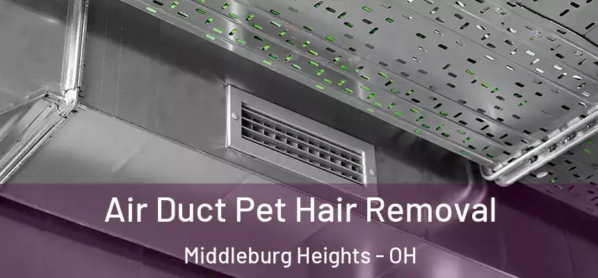  Air Duct Pet Hair Removal Middleburg Heights - OH