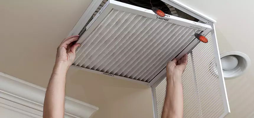 Preventive Cockroach-Proofing for Ducts in Middleburg Heights