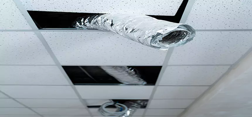 Our Air Duct Pet Hair Removal Services in Middleburg Heights, OH