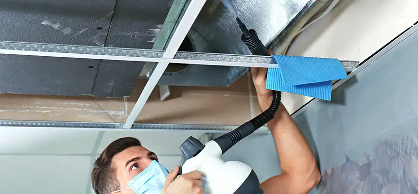 Our Air Duct Rodent Removal Services in Middleburg Heights, OH