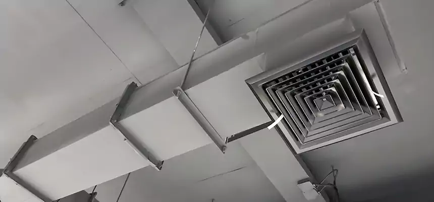 Our Rodent Droppings In Vents Services in Middleburg Heights, OH