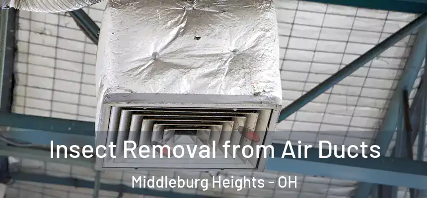 Insect Removal from Air Ducts Middleburg Heights - OH