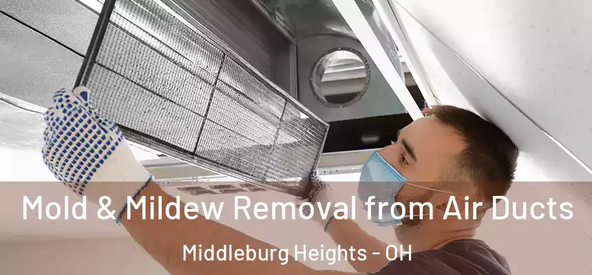 Mold & Mildew Removal from Air Ducts Middleburg Heights - OH