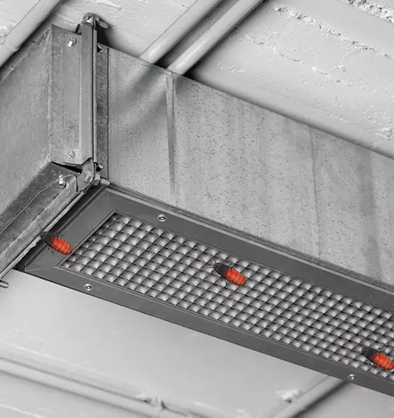 Affordable Insect Removal from Air Ducts in Middleburg Heights, OH